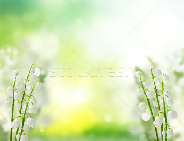 Stock photo: Lilly of the valley