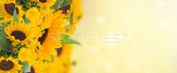 sunflowers anc marigold flowers garden Stock photo © neirfy