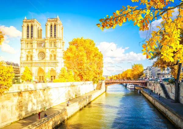 Notre Dame Parijs Frankrijk rivier zonnige vallen Stockfoto © neirfy