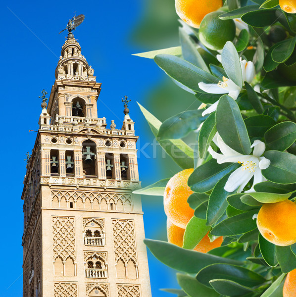 Dzwon wieża Hiszpania minaret katedry kościoła Zdjęcia stock © neirfy