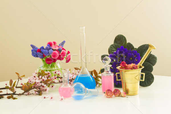 Aromaterápia száraz virágok friss üveg olaj Stock fotó © neirfy
