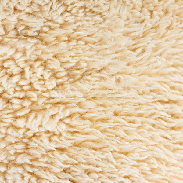 abstract sheep fur background Stock photo © neirfy