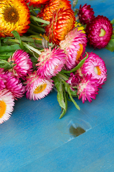 Stock photo: Bouquet of Everlasting flowers