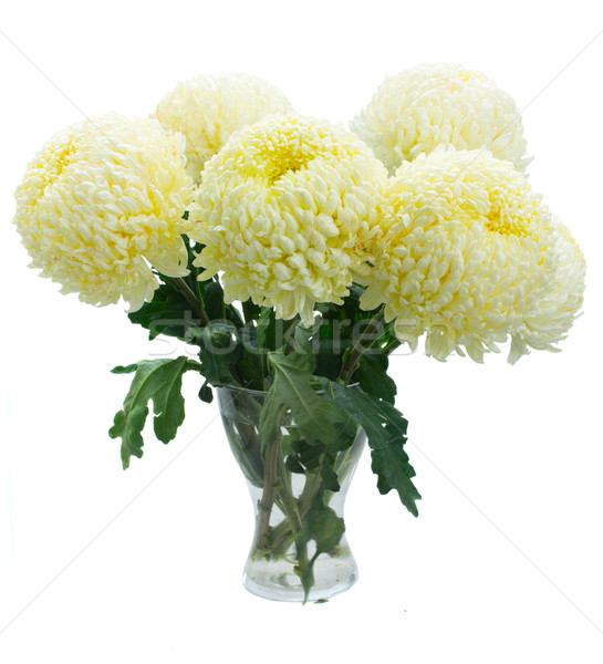 Stock photo: bouquet of yellow mums