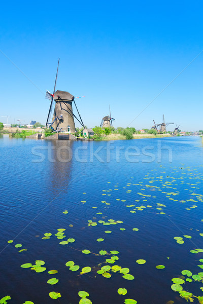 Holland szélmalom folyó hagyományos vidéki díszlet Stock fotó © neirfy