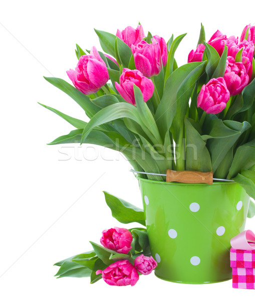 Сток-фото: розовый · тюльпаны · зеленый · банка · изолированный