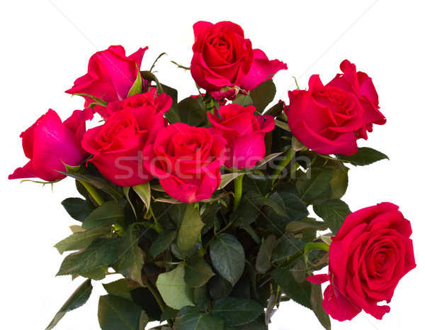 bouquet of dark  pink roses close up  Stock photo © neirfy