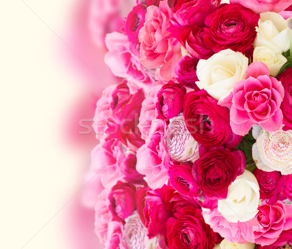 Foto stock: Monte · rosa · flores · fronteira · rosa · branco