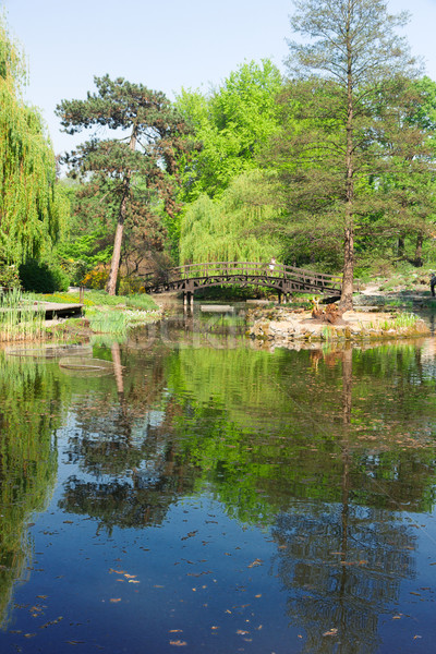botanical garden of Wroclaw, Poland Stock photo © neirfy