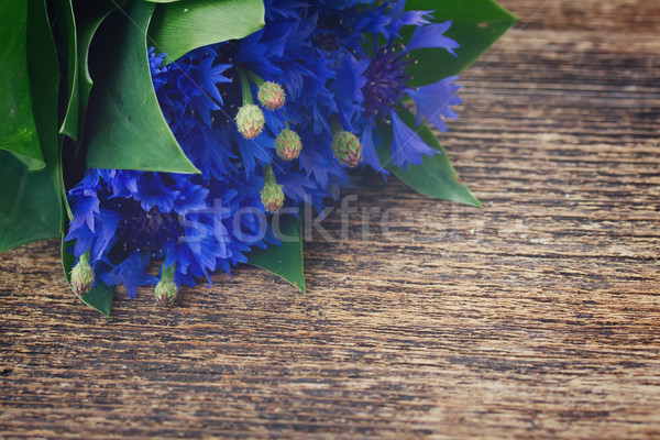 Blue cornflowers on wood Stock photo © neirfy