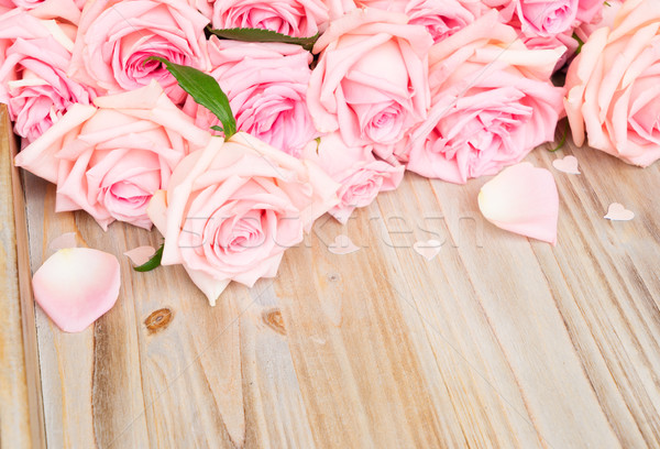 Foto d'archivio: Rosa · fioritura · rose · legno · san · valentino · petali