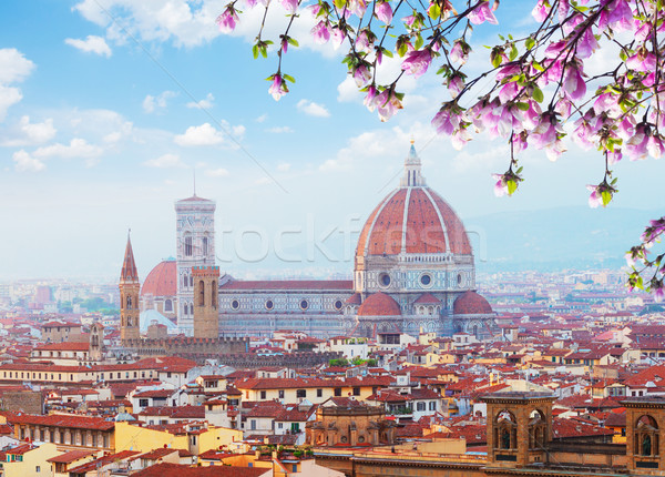 Catedrală Florenţa Italia biserică primăvară Imagine de stoc © neirfy