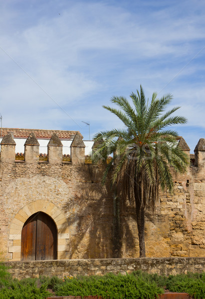 medieval town wall of  Cordoba, Spain Stock photo © neirfy