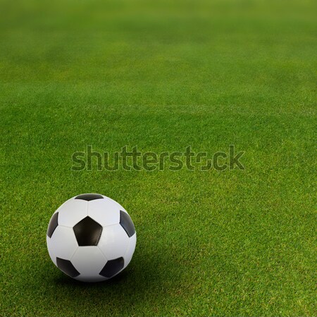 soccer ball on green football field Stock photo © neirfy
