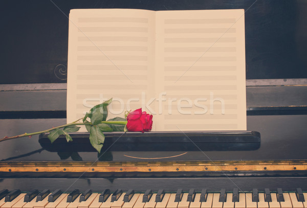 open empty notes paper with red rose Stock photo © neirfy