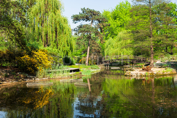 Botanische tuin zomer dag water voorjaar Stockfoto © neirfy