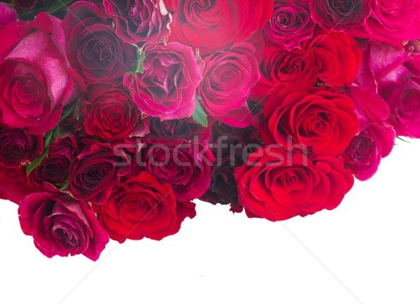 [[stock_photo]]: Frontière · roses · rouges · rouge · rose · roses · isolé