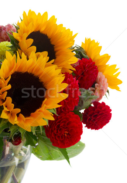 Stock photo: Dahlia and sunflowers