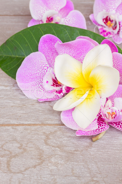 Spa Wellness set proaspăt orhidee flori Imagine de stoc © neirfy
