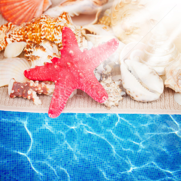 Starfish conchiglie confine asciugamano piscina acqua Foto d'archivio © neirfy