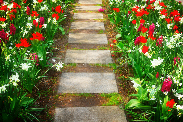 Stone path  winding in a garden Stock photo © neirfy