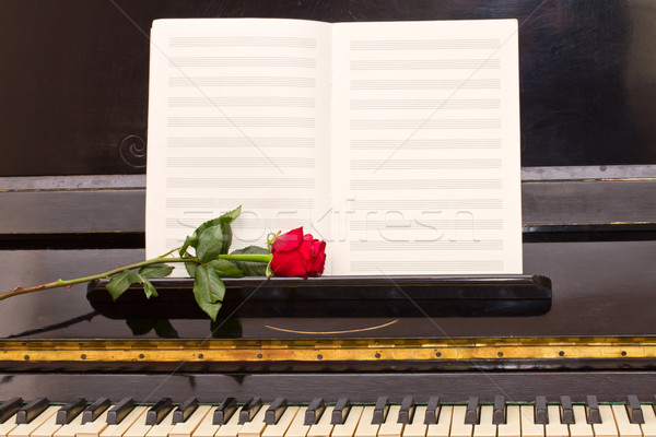 open empty notes paper with red rose Stock photo © neirfy
