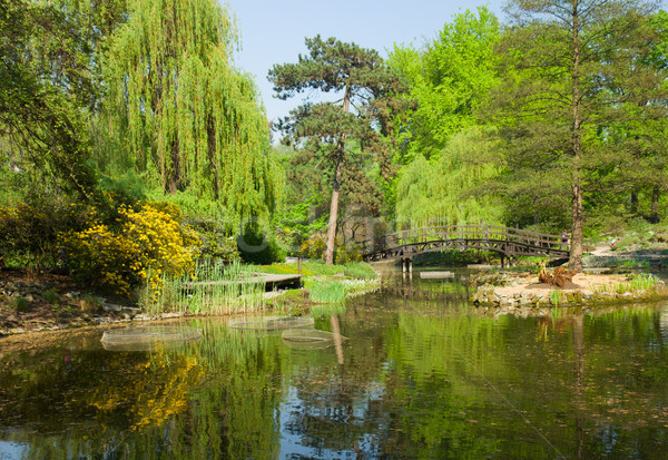 botanic garden in summer, Wroclaw, Poland Stock photo © neirfy