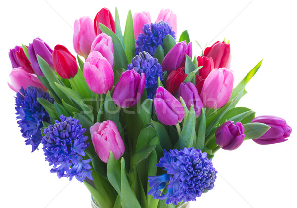 Foto stock: Buquê · azul · jacinto · tulipas · monte · tulipa