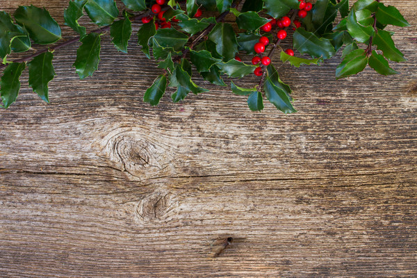 Holly branch on wood Stock photo © neirfy