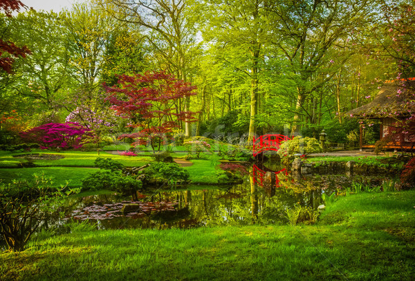 Japanese garden in spring Stock photo © neirfy