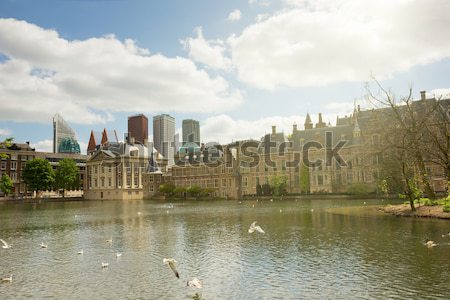 голландский парламент Нидерланды мнение служба дома Сток-фото © neirfy