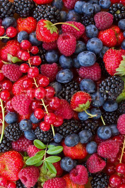 bluberry, raspberry, blackberry and red currrunt Stock photo © neirfy
