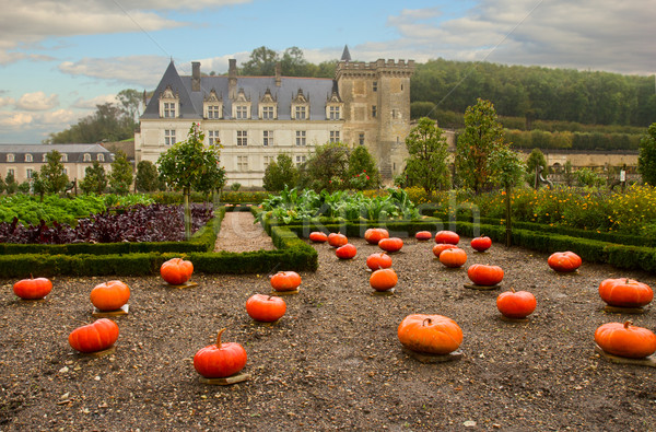 Villandry  castle at fall day, France Stock photo © neirfy