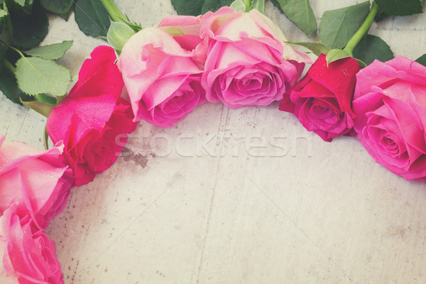 Pink fresh roses Stock photo © neirfy