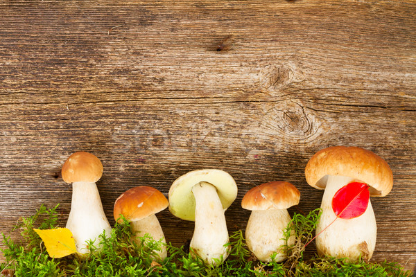 Boletus mushrooms on wooden background Stock photo © neirfy