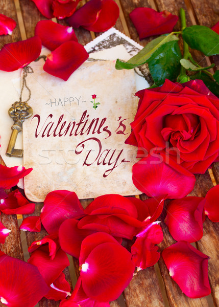 vintage background with rose petals Stock photo © neirfy