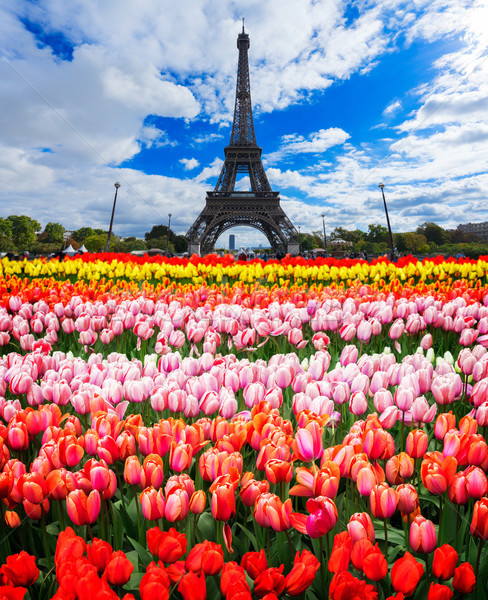 Stok fotoğraf: Eiffel · tur · Paris · Eyfel · Kulesi · taze · bahar · çiçekleri