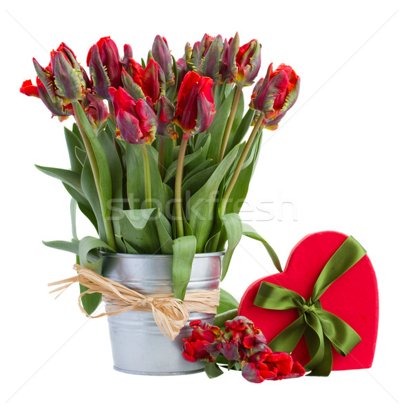 Foto stock: Tulipán · flores · metal · olla · corazón · caja · de · regalo