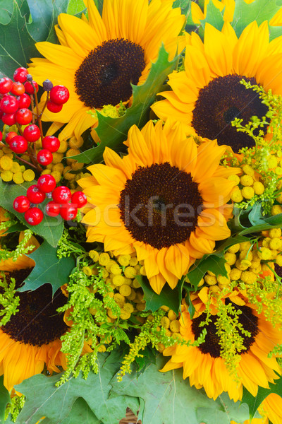 Sunflowers with green leaves Stock photo © neirfy