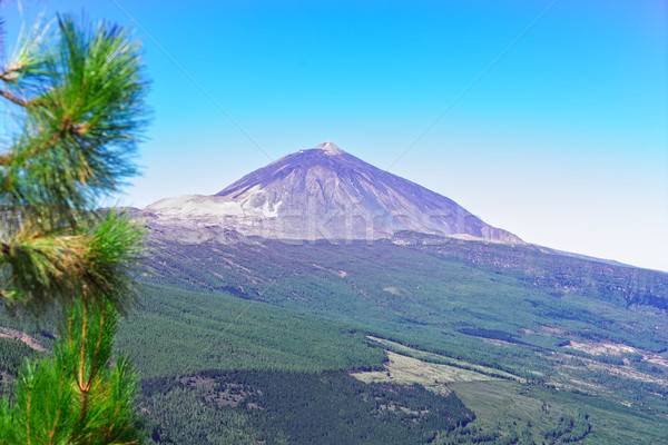 volcan Teide, Tenerife island Stock photo © neirfy