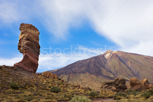 valley of volcano Teide, Tenerife, Spain Stock photo © neirfy