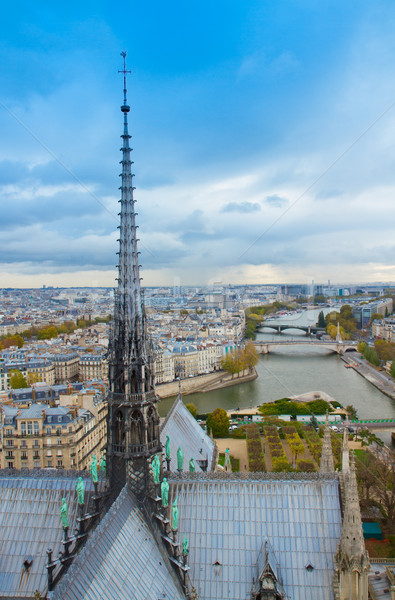 spire of Notre Dam and skyline of Paris Stock photo © neirfy