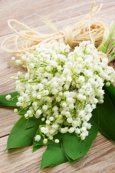 Stock photo: lilly of the valley posy