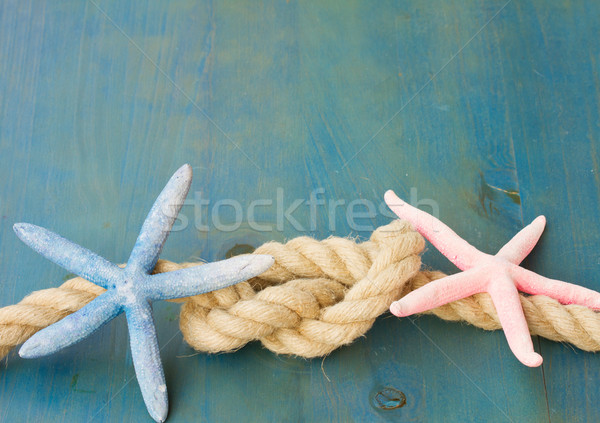 marine rope with starfish Stock photo © neirfy