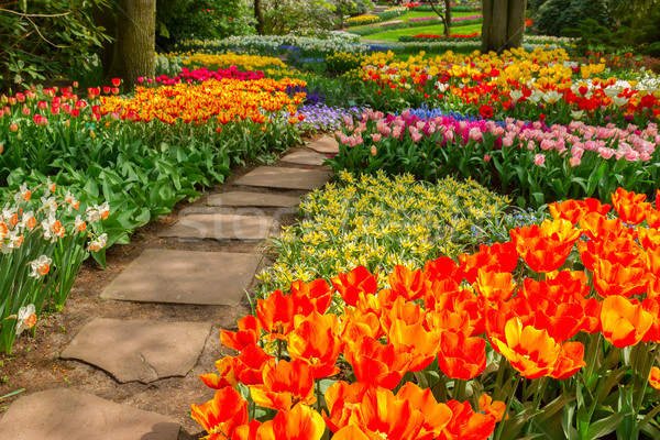 Stone path  winding in a garden Stock photo © neirfy