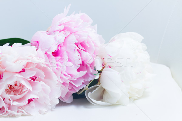 Rosa floral frischen Liebe Design Geburtstag Stock foto © neirfy