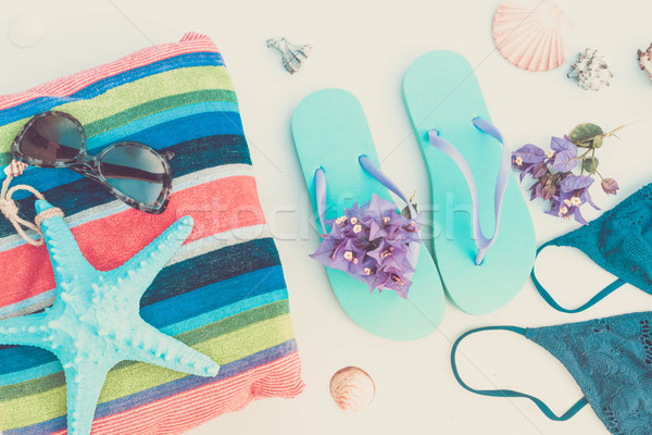 Lata plaży zabawy sandały pływanie garnitur Zdjęcia stock © neirfy