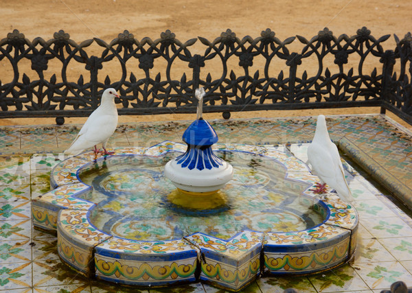 Andaluzia Espanha branco parque Foto stock © neirfy