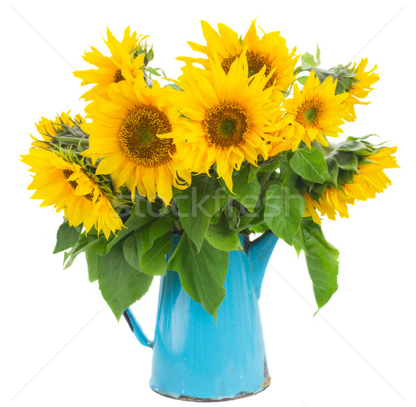 bouquet of bright sunflowers Stock photo © neirfy