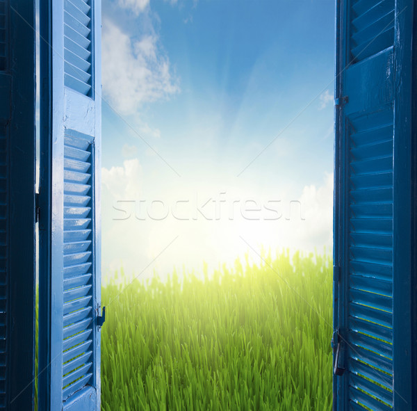 Foto stock: Nuevos · abierto · azul · puerta · hierba · cielo